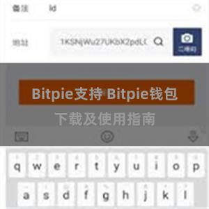 Bitpie支持 Bitpie钱包下载及使用指南