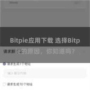 Bitpie应用下载 选择Bitpie的原因，你知道吗？