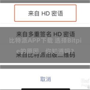 比特派APP下载 选择Bitpie的原因，你知道吗？