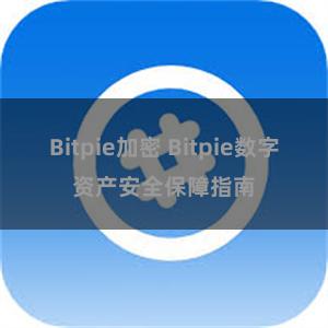 Bitpie加密 Bitpie数字资产安全保障指南