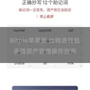 Bitpie苹果版 比特派钱包多链资产管理操作指南