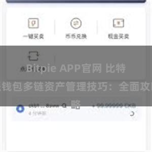 Bitpie APP官网 比特派钱包多链资产管理技巧：全面攻略