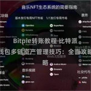 Bitpie转账教程 比特派钱包多链资产管理技巧：全面攻略