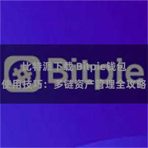 比特派下载 Bitpie钱包使用技巧：多链资产管理全攻略