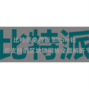 比特派免费版 Bitpie钱包支持的区块链网络全面解析