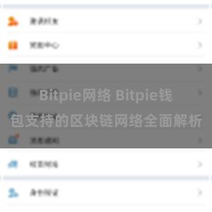 Bitpie网络 Bitpie钱包支持的区块链网络全面解析