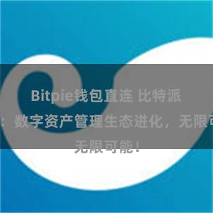 Bitpie钱包直连 比特派钱包：数字资产管理生态进化，无限可能！