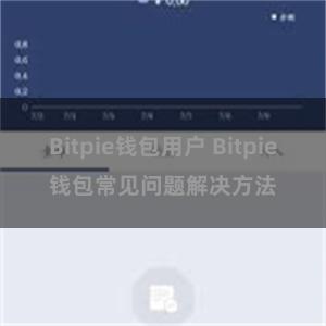 Bitpie钱包用户 Bitpie钱包常见问题解决方法