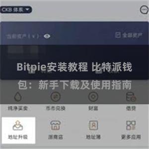 Bitpie安装教程 比特派钱包：新手下载及使用指南