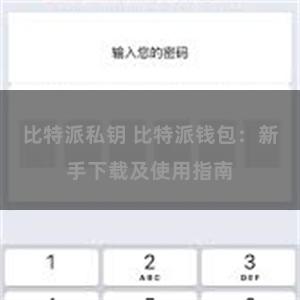 比特派私钥 比特派钱包：新手下载及使用指南