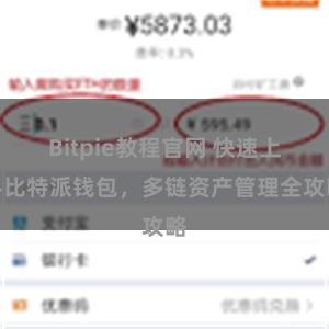 Bitpie教程官网 快速上手比特派钱包，多链资产管理全攻略