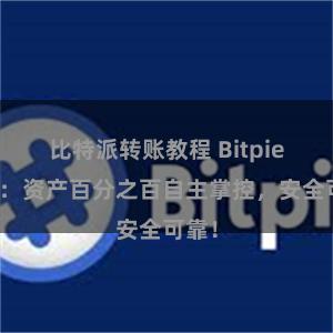 比特派转账教程 Bitpie钱包：资产百分之百自主掌控，安全可靠！