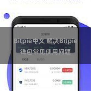 Bitpie中文 解决Bitpie钱包常见使用问题