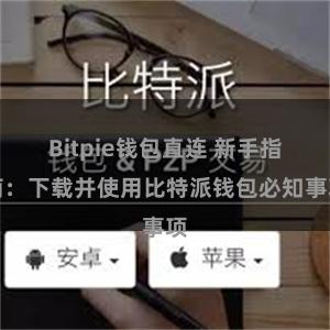 Bitpie钱包直连 新手指南：下载并使用比特派钱包必知事项