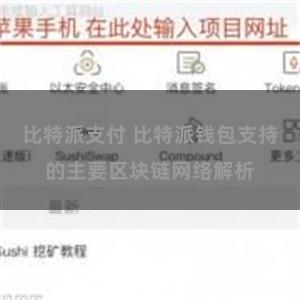 比特派支付 比特派钱包支持的主要区块链网络解析