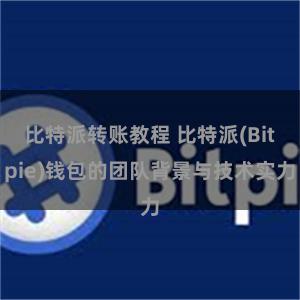 比特派转账教程 比特派(Bitpie)钱包的团队背景与技术实力