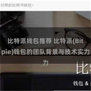 比特派钱包推荐 比特派(Bitpie)钱包的团队背景与技术实力