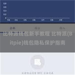 比特派钱包新手教程 比特派(Bitpie)钱包隐私保护指南