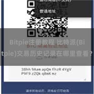 Bitpie注册教程 比特派(Bitpie)交易历史记录在哪里查看？