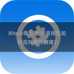 Bitpie隐私 比特派钱包如何应对网络拥堵？