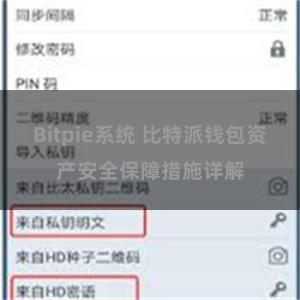 Bitpie系统 比特派钱包资产安全保障措施详解