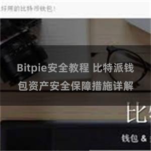 Bitpie安全教程 比特派钱包资产安全保障措施详解