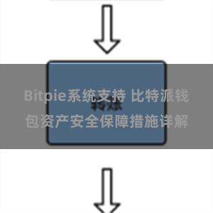 Bitpie系统支持 比特派钱包资产安全保障措施详解