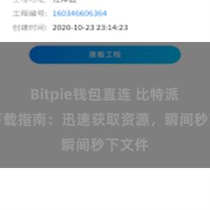 Bitpie钱包直连 比特派直链下载指南：迅速获取资源，瞬间秒下文件
