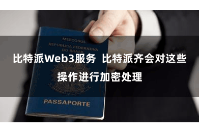 比特派Web3服务  比特派齐会对这些操作进行加密处理