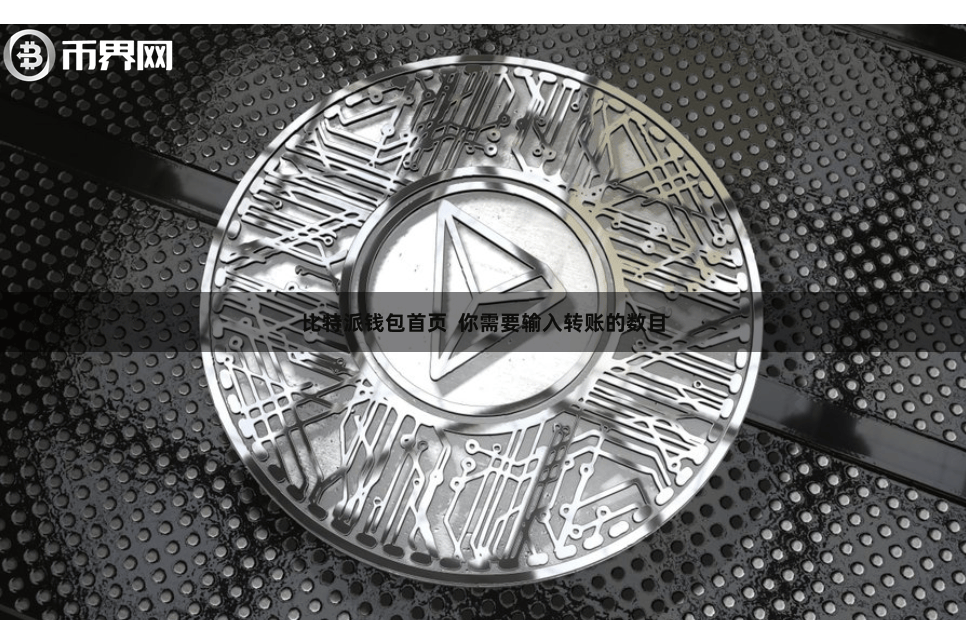 比特派钱包首页 你需要输入转账的数目