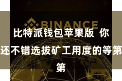 比特派钱包苹果版 你还不错选拔矿工用度的等第