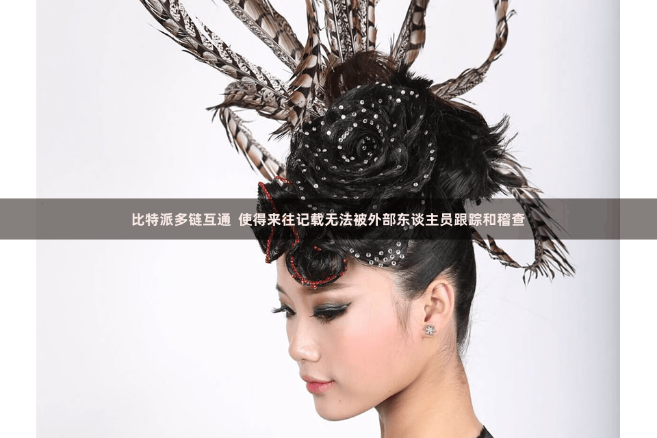 比特派多链互通  使得来往记载无法被外部东谈主员跟踪和稽查